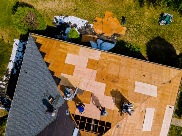 Best Best Roofing Contractors  in Lake Catherine, IL