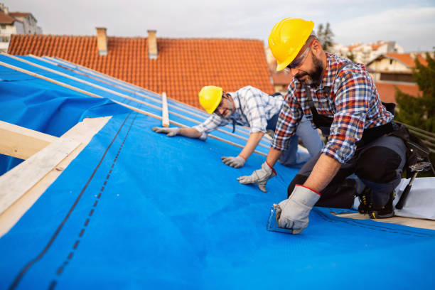 Best Commercial Roofing Services  in Lake Catherine, IL