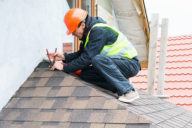 Best Residential Roofing Contractor  in Lake Catherine, IL