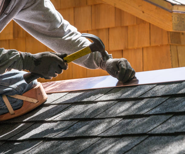 Roof Gutter Cleaning in Lake Catherine, IL